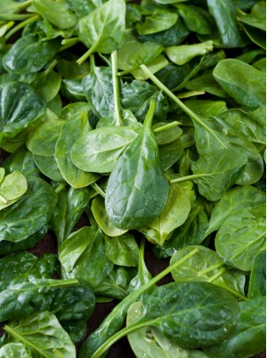 Epinard Bio d'Alsace France -500g Epinard Bio d'Alsace France -500g