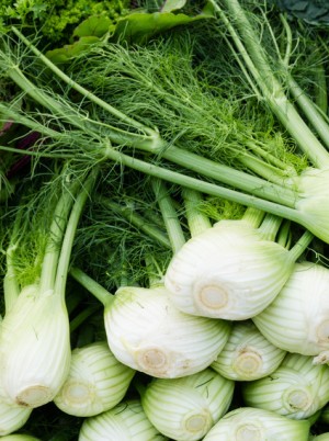 Fenouil Bio Italie- 500g Fenouil Bio Italie- 500g