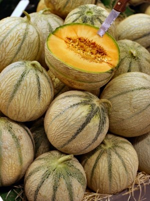 Melon Bio Charentais origine France-le kg Melon Bio Charentais origine France-le kg