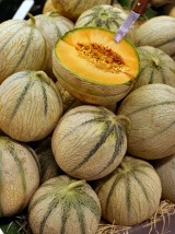 Melon Bio Charentais origine France-le kg (cal 11/12p)