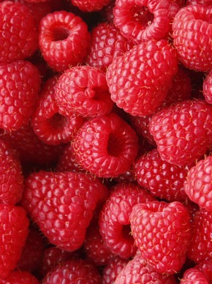 Framboise extra de France-la barquette 100g Framboise extra de France-la barquette 100g