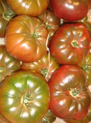 Tomate noire ancienne Bio de France - 500g (population, non hybride) Tomate noire ancienne Bio de France - 500g (population, non hybride)
