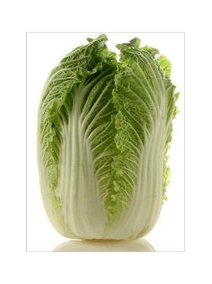 Chou chinois Bio France-le kg Chou chinois Bio France-le kg