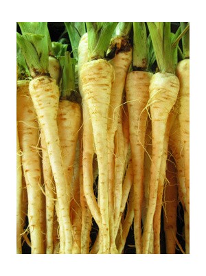 Panais Bio origine Alsace France -500g Panais Bio origine Alsace France -500g