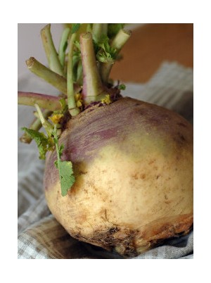 Rutabaga Bio d'Alsace France- 500g Rutabaga Bio d'Alsace France- 500g