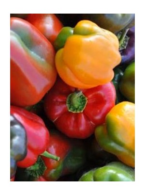 Poivron rouge Bio d'Espagne- 500g Poivron rouge Bio d'Espagne- 500g