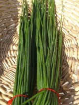Ciboulette bio de France- la botte 