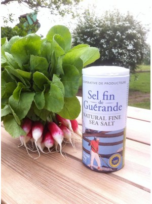 Sel fin de Guérande NP -250g en salière Sel fin de Guérande NP -250g en salière
