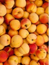 Abricot petit calibre Bio de France -1 kg