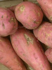 Patate douce Bio France-500g (cal XL nouvelle récolte)