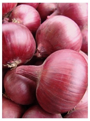 Oignon rouge Bio de hollande- 500g Oignon rouge Bio de hollande- 500g