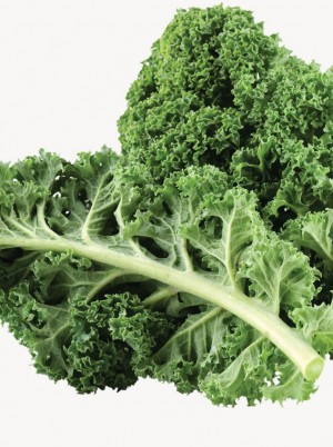 Chou Kale Bio de France -500g Chou Kale Bio de France -500g