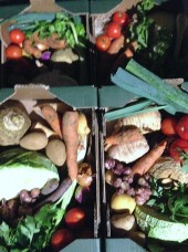 Cagette de légumes Bio de saison, soupe ou petits pots pour bébé