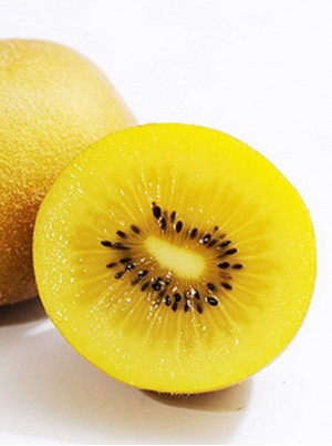 Kiwi jaune BIO SUNGOLD Bio de NZ-la piéce (gros cal 22) Kiwi jaune BIO SUNGOLD Bio de NZ-la piéce (gros cal 22)