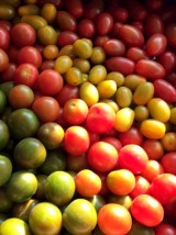 Tomates cerises multicolores Bio de France- 500g