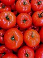 Tomates rondes Bio Alsace France- 500g