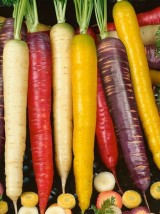 Mixte de carottes de couleur bio France-1kg (rainbow)