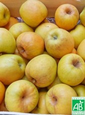 Pomme Goldrush Bio de France - 1kg (sucrée à croquer ou compote)