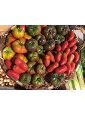 Mélange de tomates anciennes Bio de France- le kg (non hybrides)