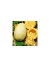 Courge spaghetti Bio de France- le kg