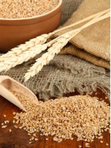 graines Bio, légumes secs Bio et farines fermières