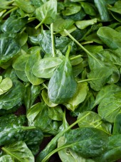 Epinard Bio de France -500g 