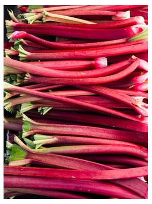 Rhubarbe Bio France-800g Rhubarbe Bio France-800g