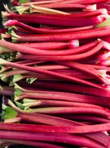 Rhubarbe Bio France-800g