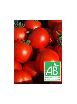 Tomate ronde grappe Bio France- 500g