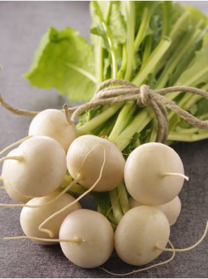 Botte de navets nouveaux Bio de France -la pi&egrave;ce