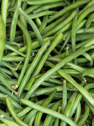 Haricot vert Bio Espagne-500g