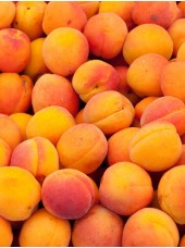 Abricot Bio de France-500g