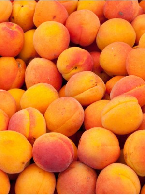 Abricot Bio de France-500g