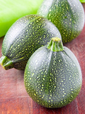Courgette ronde Bio de France-500g Courgette ronde Bio de France-500g
