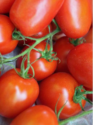 Tomates Roma Bio Alsace France-500g