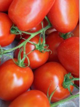 Tomates allongées Bio de Moselle -1kg