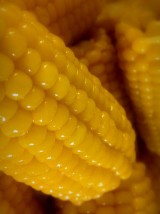 Mais doux Bio cuit sous vide France -400g