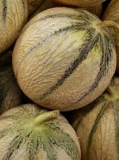 Melon Bio Maroc -la pièce (cal 6P)