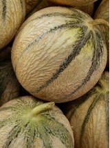 Melon Bio Maroc -la pièce (cal 6P)