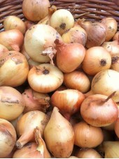 Oignon jaune bio France-500g 
