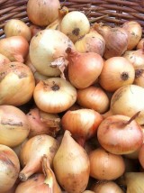 Oignon jaune bio France-500g 
