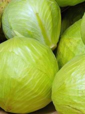Chou blanc Bio de France-la pièce