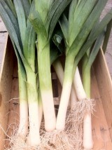 Poireau Bio Alsace France-500g 
