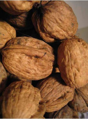 Noix séche Bio de Grenoble AOP France - 500g Noix séche Bio de Grenoble AOP France - 500g