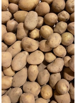Pomme de terre grenaille primeur Bio Alsace France- 1kg Pomme de terre grenaille primeur Bio Alsace France- 1kg
