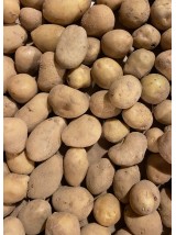 Pomme de terre grenaille primeur Bio Alsace France- 1kg