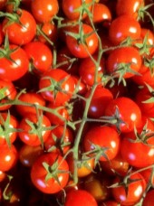 Tomate cerise grappe Italie-500g