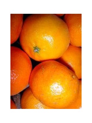 Clémentine Azahar Bio Espagne- 500g 