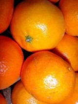 Clémentine lulu Espagne- 500g 