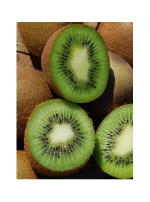 Kiwi vert Bio origine France-la pièce ( gros cal 23) Kiwi vert Bio origine France-la pièce ( gros cal 23)